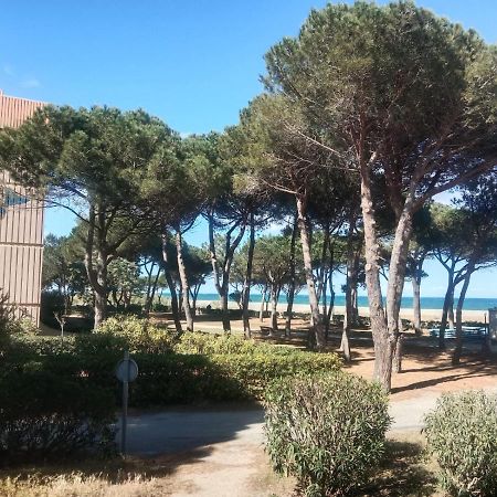 Belle Vue Au Calme Sur La Plage أرجيليه- سور- مير المظهر الخارجي الصورة