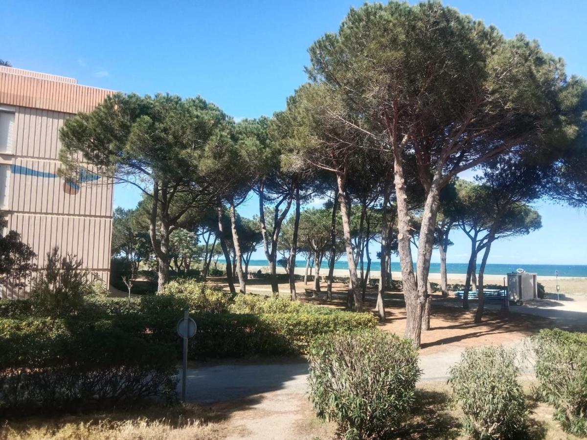 Belle Vue Au Calme Sur La Plage أرجيليه- سور- مير المظهر الخارجي الصورة
