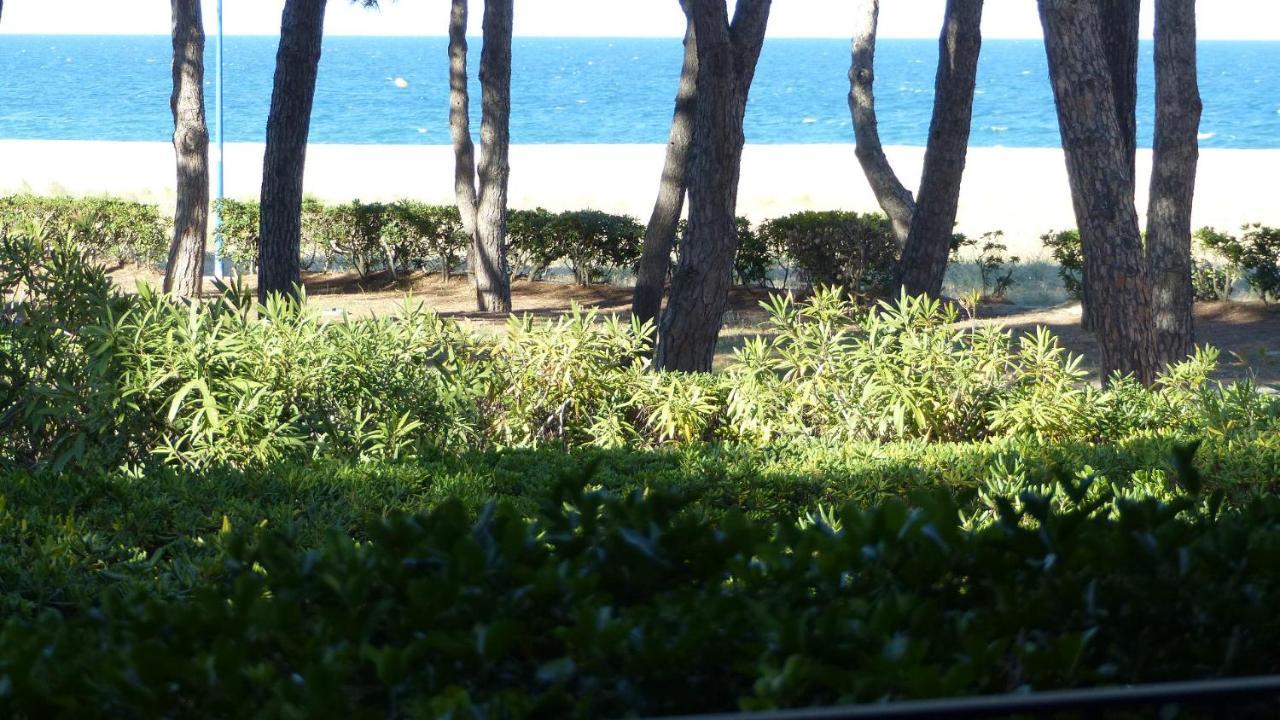 Belle Vue Au Calme Sur La Plage أرجيليه- سور- مير المظهر الخارجي الصورة